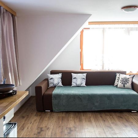 Ferienwohnung Miedzy Owcami Sromowce Wyzne Exterior foto