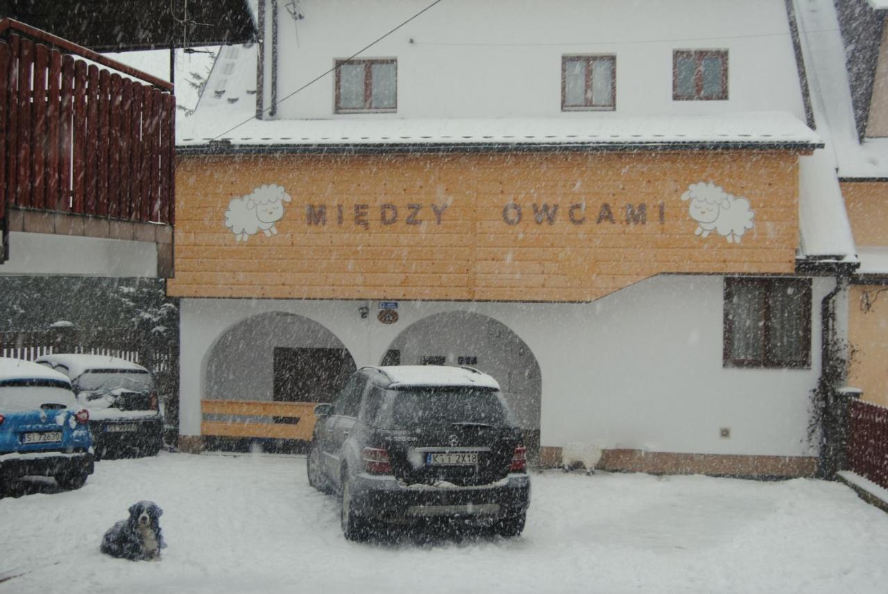 Ferienwohnung Miedzy Owcami Sromowce Wyzne Exterior foto