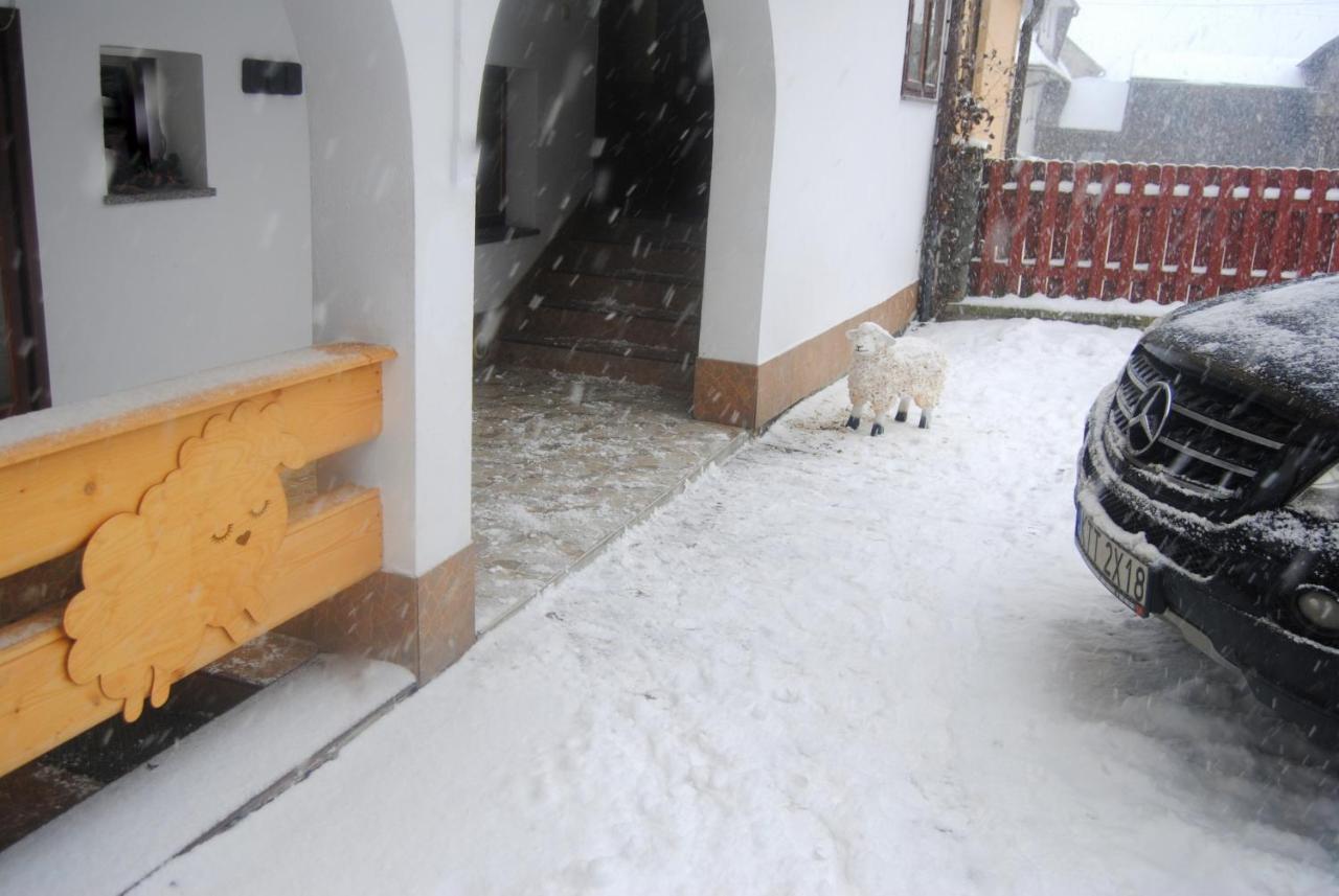 Ferienwohnung Miedzy Owcami Sromowce Wyzne Exterior foto