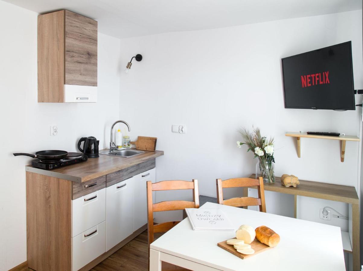 Ferienwohnung Miedzy Owcami Sromowce Wyzne Exterior foto