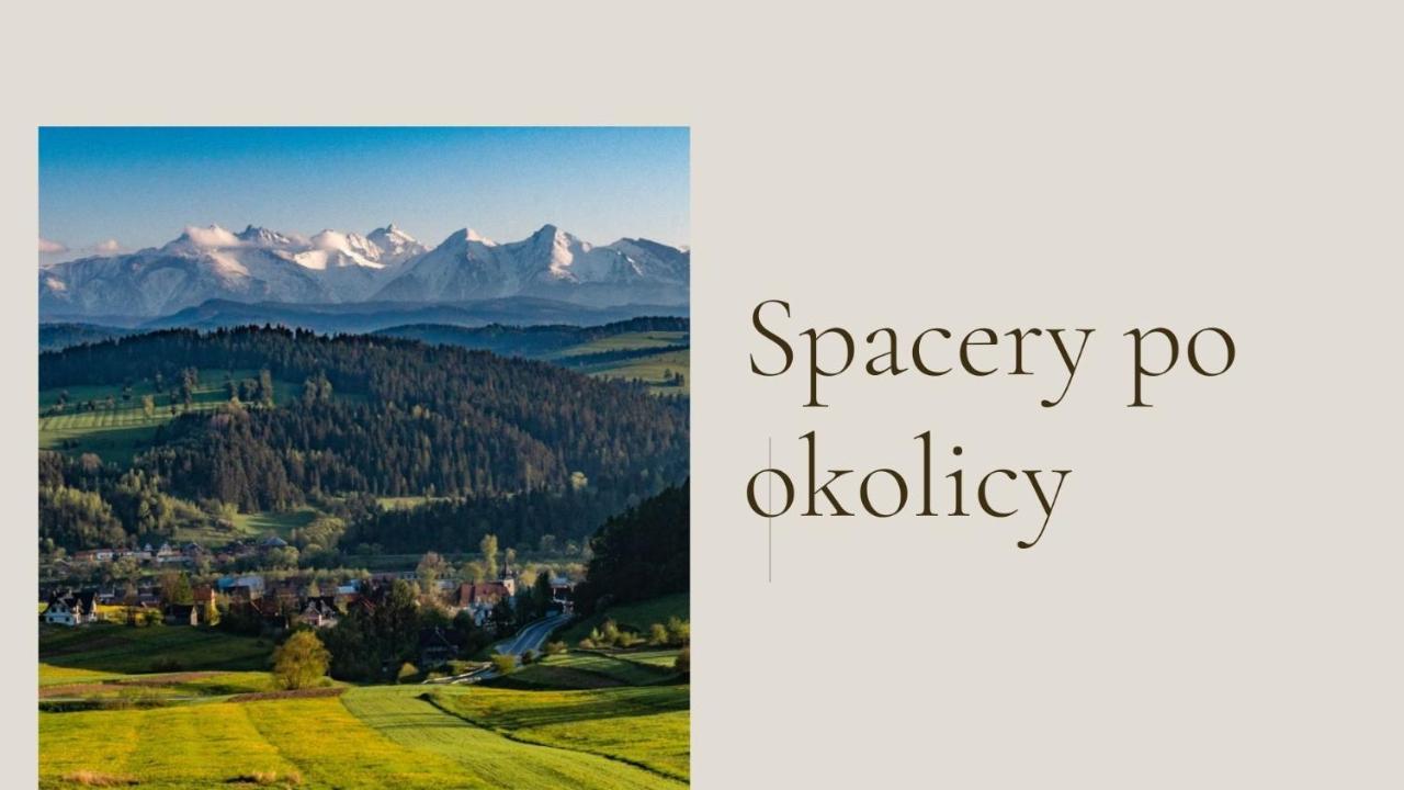 Ferienwohnung Miedzy Owcami Sromowce Wyzne Exterior foto