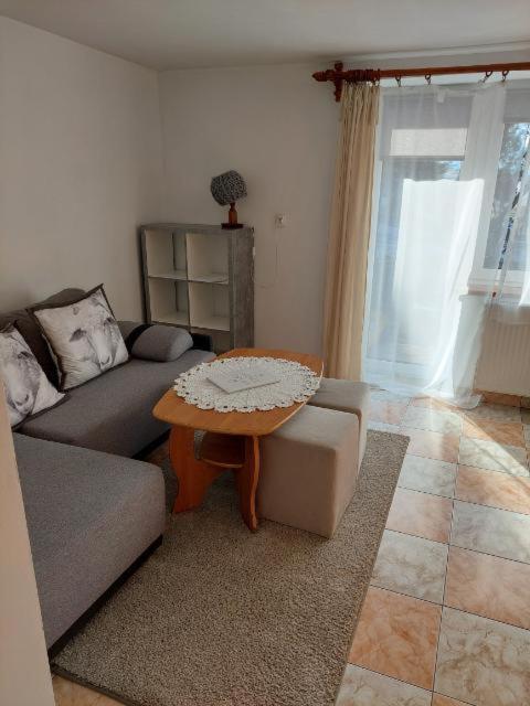 Ferienwohnung Miedzy Owcami Sromowce Wyzne Exterior foto