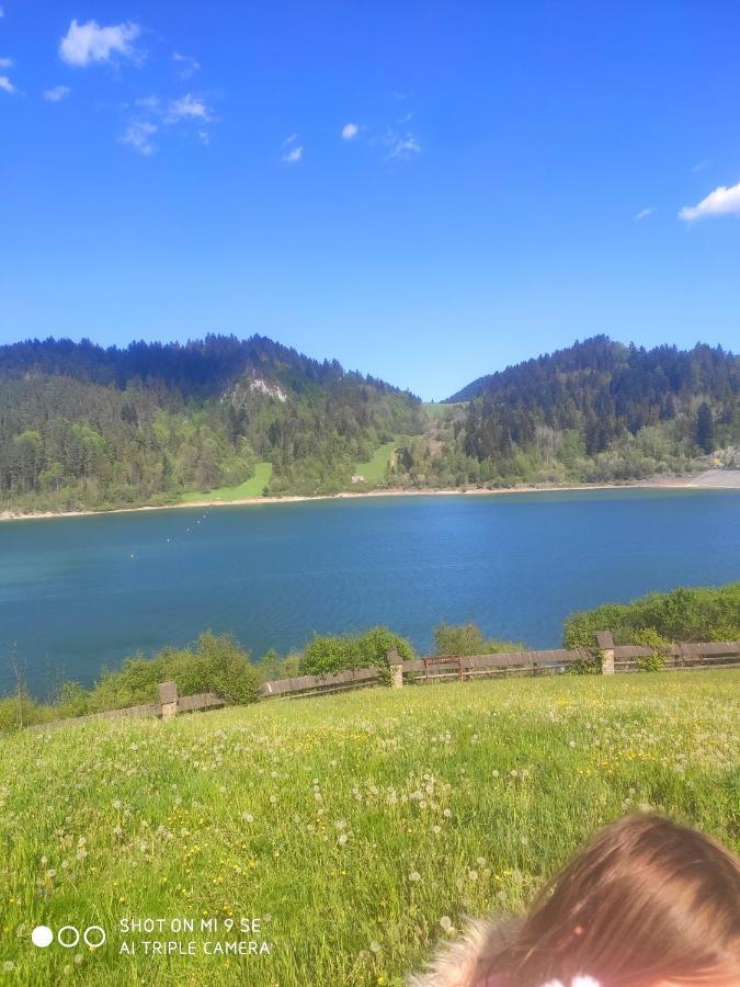 Ferienwohnung Miedzy Owcami Sromowce Wyzne Exterior foto